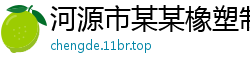 河源市某某橡塑制品运营部